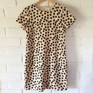 [J. Crew] ⚡️Flash Sale⚡️Scattered Dot Shift Dress